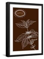 Coffee Plant Illustration-cienpies-Framed Art Print