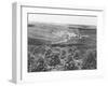 Coffee Plantation in Brazil-null-Framed Photographic Print