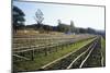 Coffee Plantation-Carlos Dominguez-Mounted Photographic Print