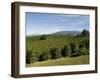 Coffee Plantations on the Slopes of the Poas Volcano, Near San Jose, Costa Rica, Central America-R H Productions-Framed Photographic Print