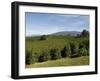 Coffee Plantations on the Slopes of the Poas Volcano, Near San Jose, Costa Rica, Central America-R H Productions-Framed Photographic Print