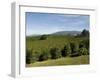 Coffee Plantations on the Slopes of the Poas Volcano, Near San Jose, Costa Rica, Central America-R H Productions-Framed Photographic Print