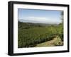 Coffee Plantations on the Slopes of the Poas Volcano, Near San Jose, Costa Rica, Central America-R H Productions-Framed Photographic Print