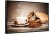 Coffee Still Life With Wooden Grinder-Jag_cz-Framed Stretched Canvas