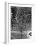 Coffee Tree, Jamaica, C1905-Adolphe & Son Duperly-Framed Giclee Print