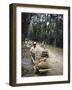 Coffee Workers Harvesting Beans-John Dominis-Framed Photographic Print