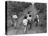 Coffee Workers Walking Along a Path Through the Fields-null-Stretched Canvas