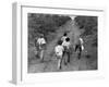 Coffee Workers Walking Along a Path Through the Fields-null-Framed Photographic Print