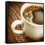 Coffee-Subbotina Anna-Framed Stretched Canvas