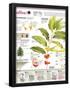 Essential Black