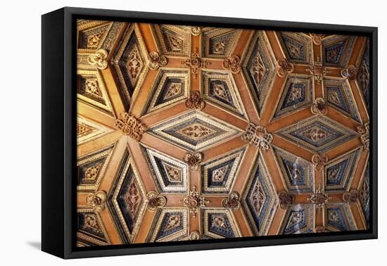 Coffered Wooden Ceiling in Golden Hall, Lapalisse Castle, Auvergne, Detail, France, 16th Century-null-Framed Stretched Canvas
