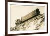 Cog Railway Locomotive, Pike's Peak, Colorado-null-Framed Art Print