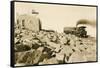 Cog Railway Locomotive, Pike's Peak, Colorado-null-Framed Stretched Canvas