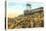 Cog Wheel Train, Pike's Peak, Colorado-null-Stretched Canvas