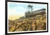 Cog Wheel Train, Pike's Peak, Colorado-null-Framed Art Print