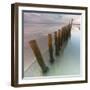 Cogitz-David Baker-Framed Photographic Print