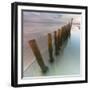 Cogitz-David Baker-Framed Photographic Print