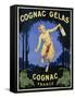 Cognac Gelas Poster-null-Framed Stretched Canvas