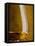 Cognac in Snifter-Jean Gillis-Framed Stretched Canvas