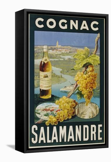 Cognac Salamandre Poster-null-Framed Stretched Canvas