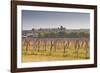 Cognac Vineyards Near to the Village of Juillac Le Coq, Charente, France, Europe-Julian Elliott-Framed Photographic Print