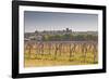 Cognac Vineyards Near to the Village of Juillac Le Coq, Charente, France, Europe-Julian Elliott-Framed Photographic Print