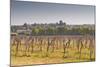 Cognac Vineyards Near to the Village of Juillac Le Coq, Charente, France, Europe-Julian Elliott-Mounted Photographic Print