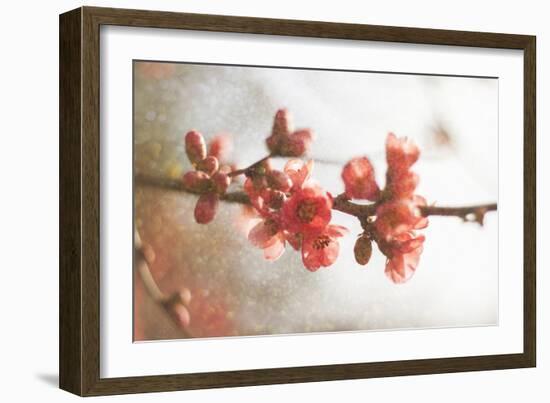 Cognassier-Viviane Fedieu Danielle-Framed Photographic Print