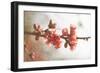 Cognassier-Viviane Fedieu Danielle-Framed Photographic Print