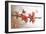 Cognassier-Viviane Fedieu Danielle-Framed Photographic Print