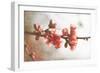 Cognassier-Viviane Fedieu Danielle-Framed Photographic Print