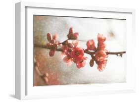 Cognassier-Viviane Fedieu Danielle-Framed Photographic Print