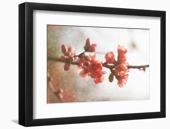 Cognassier-Viviane Fedieu Danielle-Framed Photographic Print