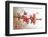 Cognassier-Viviane Fedieu Danielle-Framed Photographic Print