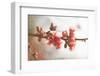 Cognassier-Viviane Fedieu Danielle-Framed Photographic Print