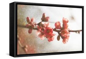 Cognassier-Viviane Fedieu Danielle-Framed Stretched Canvas