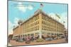 Cohen Brothers, Jacksonville, Florida-null-Mounted Art Print