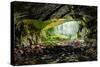 Coiba Mare Cave in Romania, Entrance-Xilius-Stretched Canvas