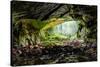 Coiba Mare Cave in Romania, Entrance-Xilius-Stretched Canvas