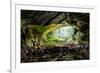 Coiba Mare Cave in Romania, Entrance-Xilius-Framed Photographic Print