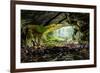 Coiba Mare Cave in Romania, Entrance-Xilius-Framed Photographic Print