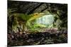 Coiba Mare Cave in Romania, Entrance-Xilius-Mounted Photographic Print