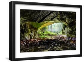 Coiba Mare Cave in Romania, Entrance-Xilius-Framed Photographic Print