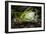 Coiba Mare Cave in Romania, Entrance-Xilius-Framed Photographic Print