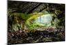 Coiba Mare Cave in Romania, Entrance-Xilius-Mounted Photographic Print
