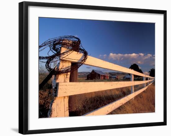 Coiled Barbed Wire and Red Barn, near Walla Walla, Washington, USA-Brent Bergherm-Framed Photographic Print