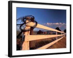 Coiled Barbed Wire and Red Barn, near Walla Walla, Washington, USA-Brent Bergherm-Framed Photographic Print