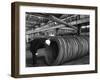 Coils and Hexagonal Bars at the Park Gate Iron and Steel Co, Rotherham, South Yorkshire, 1964-Michael Walters-Framed Photographic Print