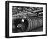 Coils and Hexagonal Bars at the Park Gate Iron and Steel Co, Rotherham, South Yorkshire, 1964-Michael Walters-Framed Photographic Print