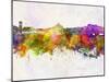 Coimbra Skyline in Watercolor Background-paulrommer-Mounted Art Print